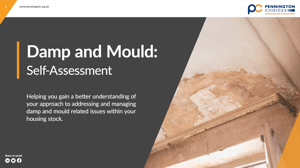 Damp and Mould Self-Assessment eBook cover image