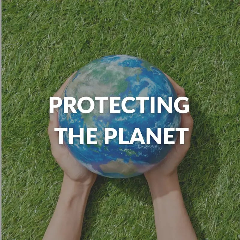 Protecting the plant