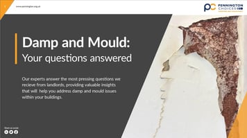 Damp and Mould your questions answered cover image