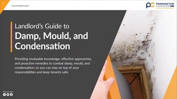 Landlords guide to damp, mould and condensation - cover image - webp